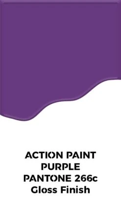Renu Action Paint PRO Pack Purple -Auto Parts Store 285934d