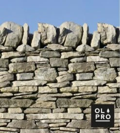 Stone Wall 5 Pole Windbreak