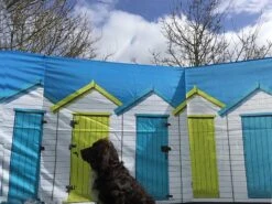 Beach Hut 4 Pole Compact Windbreak 9 Beach Hut 4 Pole Compact Windbreak -Auto Parts Store 450927b