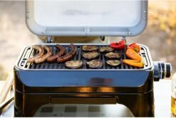 Campingaz Attitude 2Go CV Portable Gas BBQ -Auto Parts Store 464870e