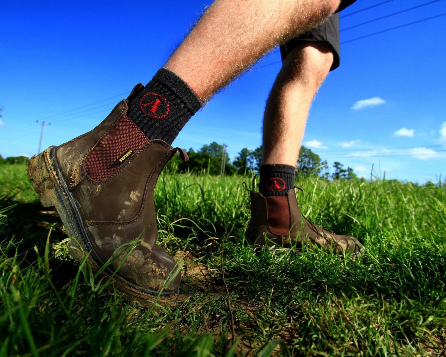 Ambler Safety Boot - Brown 10 Ambler Safety Boot - Brown - Image 8