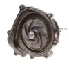 Circoli Water Pump VAR MERC - 201220581 -Auto Parts Store 766486